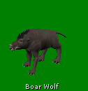 boar wolf