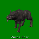 zucca boar
