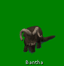 bantha