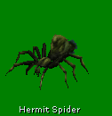 hermit spider