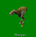 mawgax