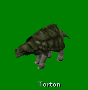 torton