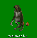 woolamander